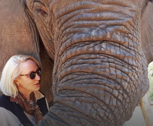 elephant whispers hazyview 7 1